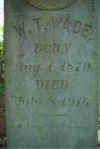 5SC01681.JPG (7343 bytes)