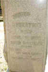 5SC01689.JPG (19765 bytes)