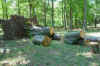 DSC01667.jpg (49733 bytes)