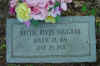 2Dsc01722.jpg (82881 bytes)